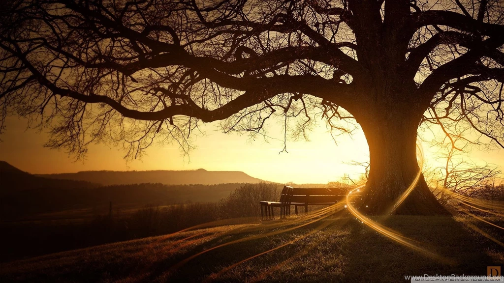Autumn Tumblr Wallpapers Full HD