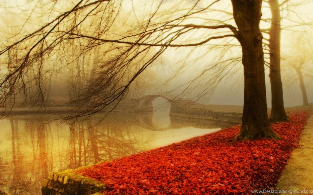 Wallpapers Hd Autumn Fall
