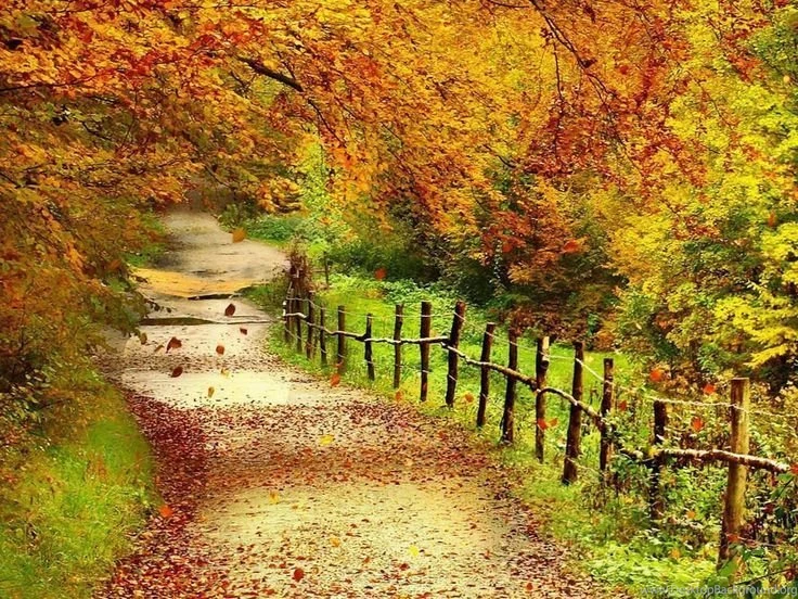 Google Autumn Wallpapers For Desktop
