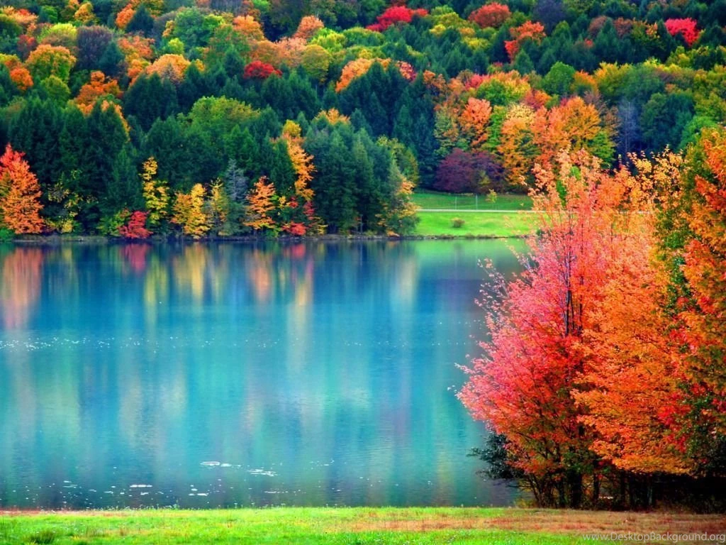Wallpapers Fall
