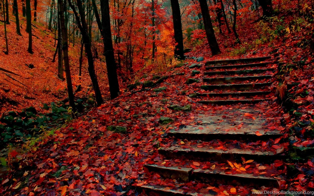 Fall Wallpapers Widescreen