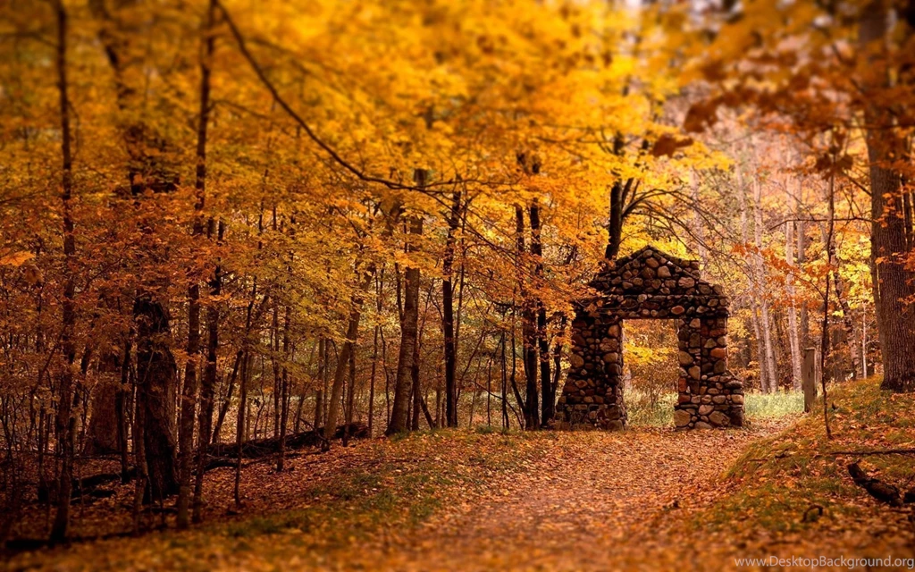 25 Stunning Fall Wallpapers