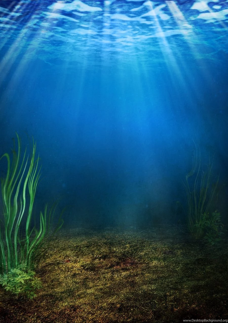 185 Underwater Backgrounds By Tigers stock On DeviantArt