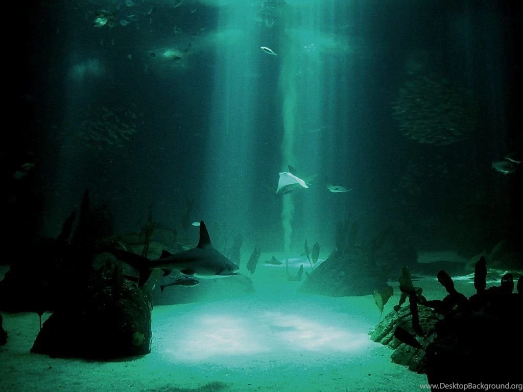 Underwater Wallpapers Best Car 2015