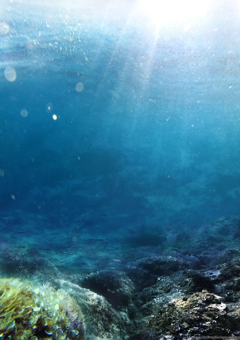 Underwater Stock Premade Backgrounds 2 By YaensArt On DeviantArt