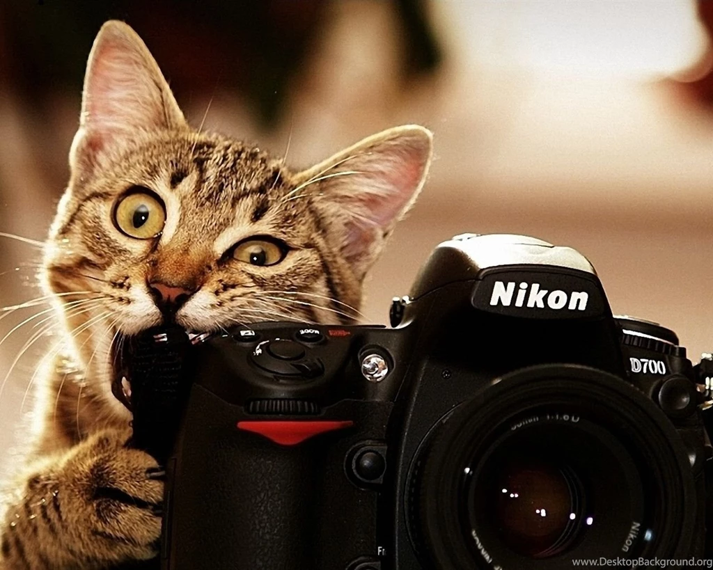 Camera Wallpapers