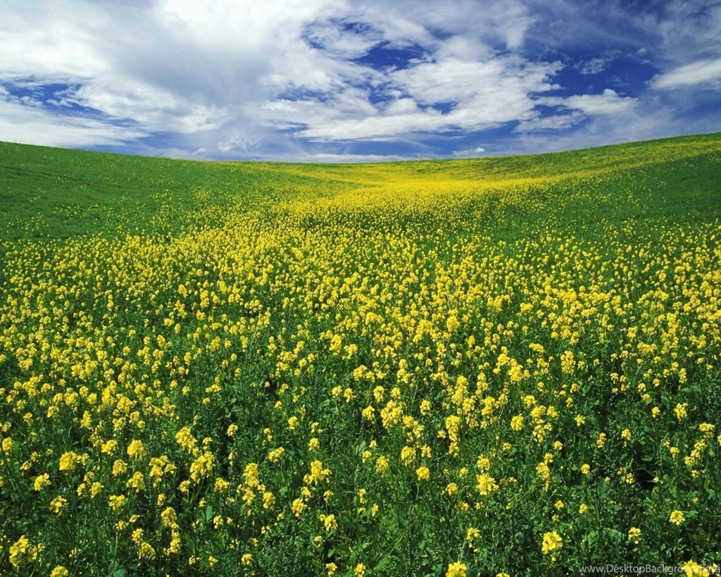 Others Diverse Landscape Backgrounds Image Free High Quality ...