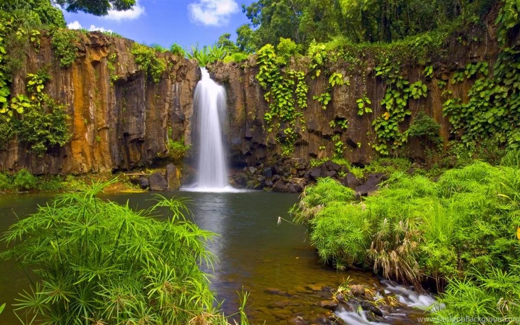Others Diverse Landscape Backgrounds Image Free High Quality ...