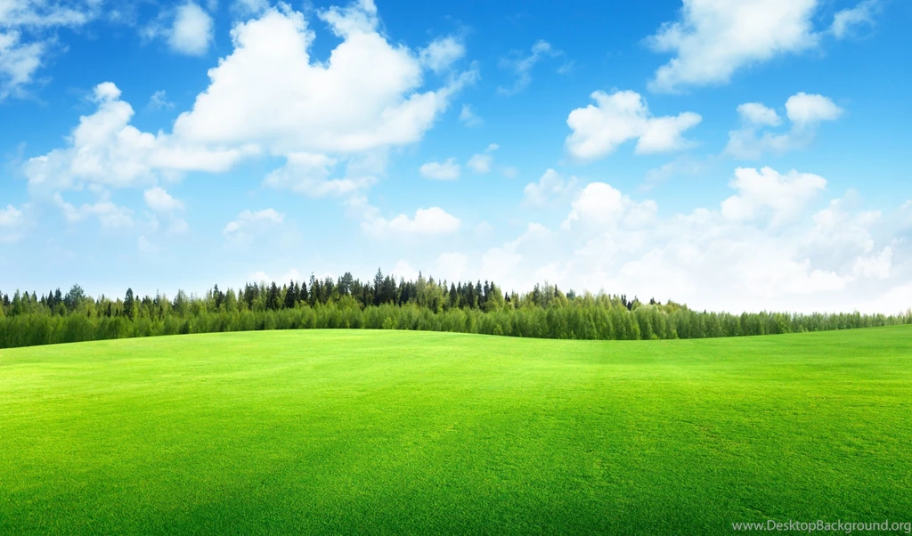 Field Hill Trees Sky Landscape