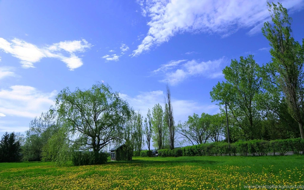 Landscape Astonishing Nature Quality Trees Backgrounds Picture ...
