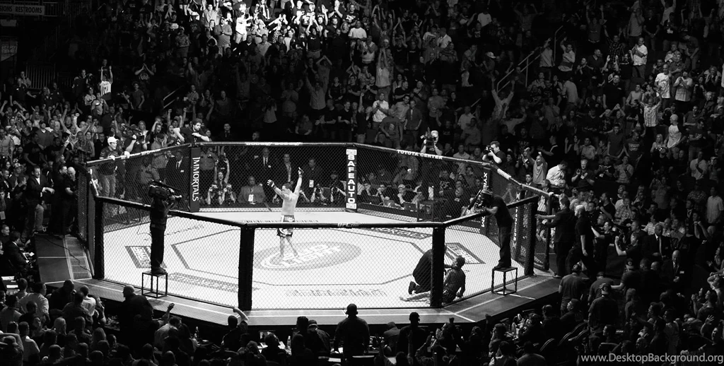 UFC Mixed Martial Arts Mma Fight Extreme Battle Battles Stadium ...