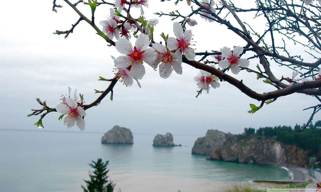 Spring Season HD Desktop Wallpapers : Widescreen : High Definition ...