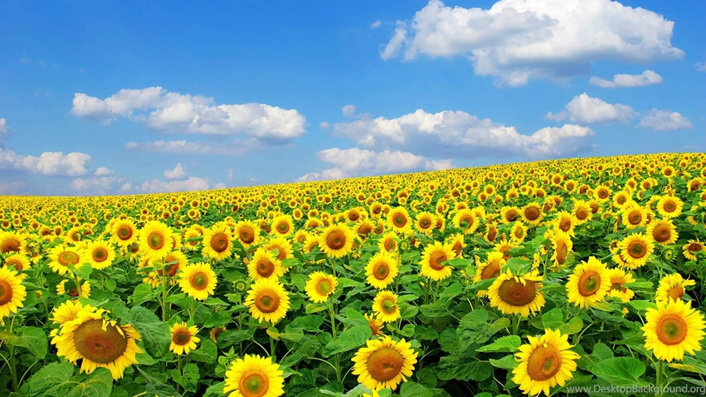 Spring Scenes Desktop Wallpaper, Spring Scenes Backgrounds