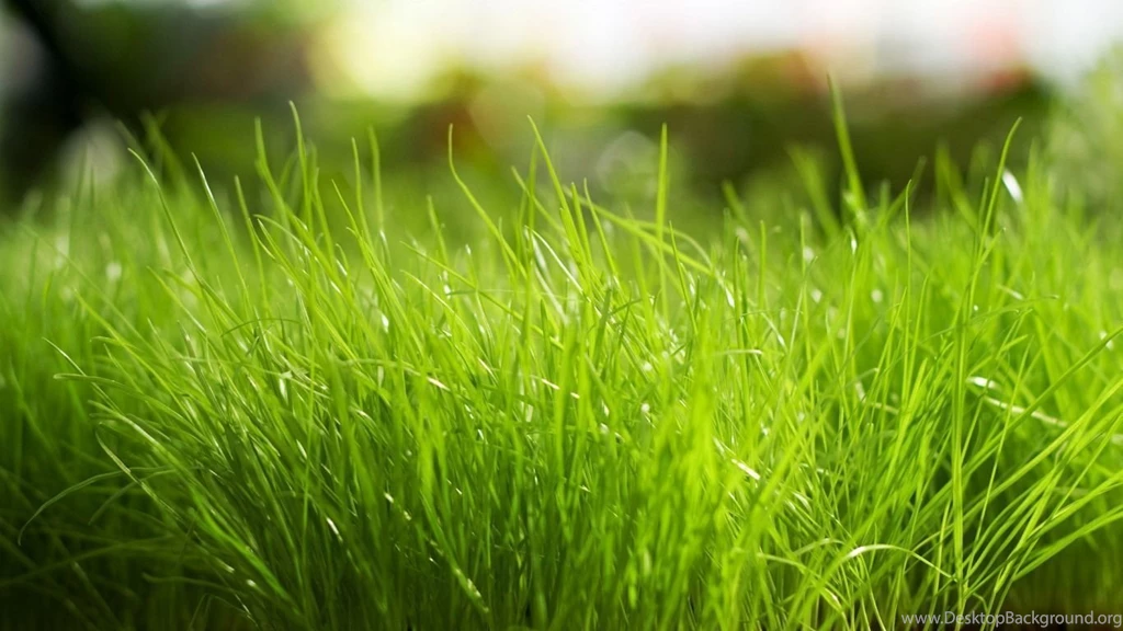 Wallpapers nature free high resolution_wallpapers nature free high resolution widescreen xp wallpapers.jpg