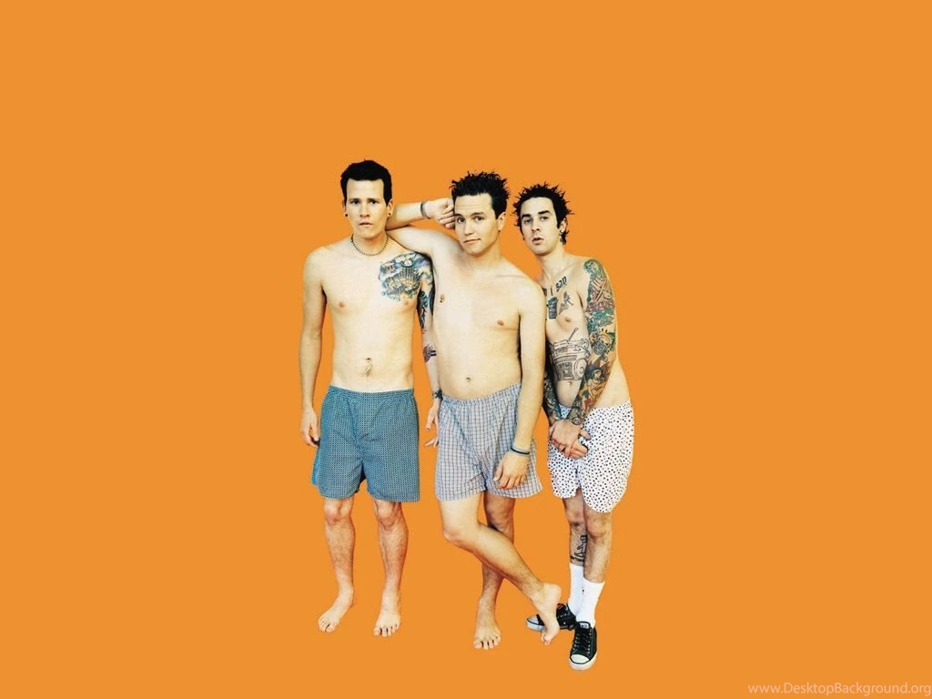 Blink Blink 182 Wallpapers (711243) Fanpop