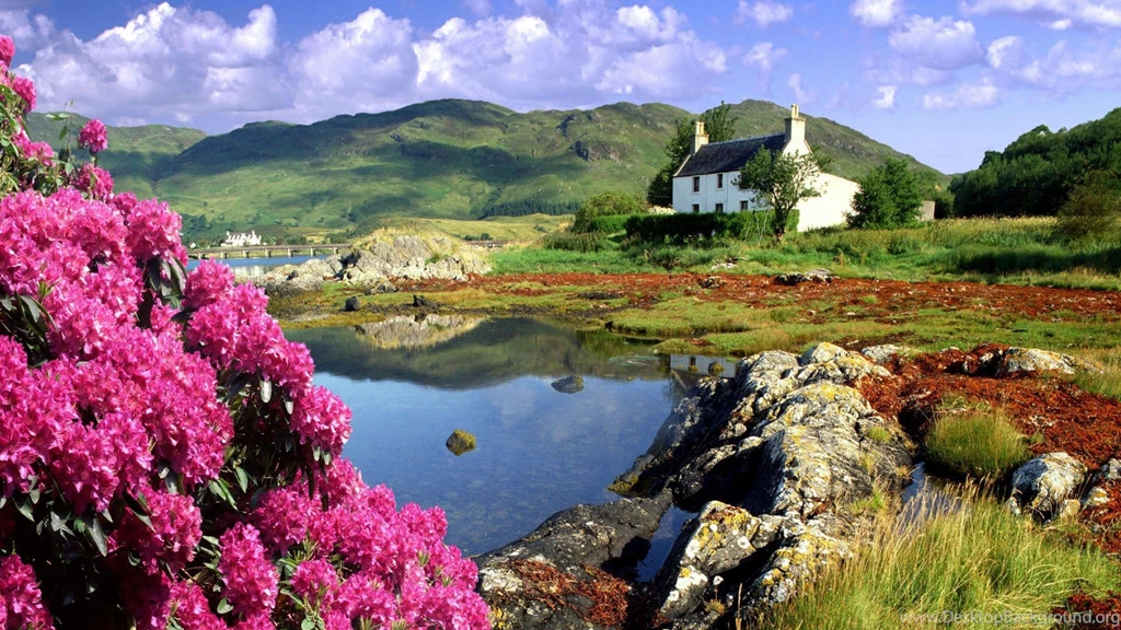 Download Wallpapers 3840x2160 Scotland, Coast, Cottage, Flowers ...
