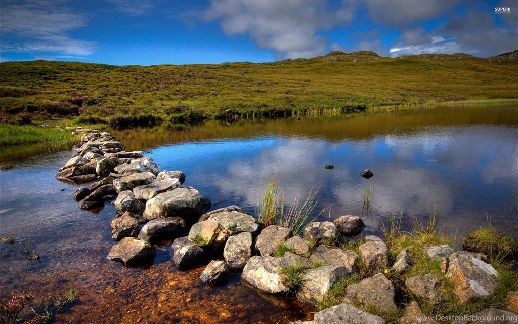 Meanwhile In Scotland Wallpapers Funny Wallpapers