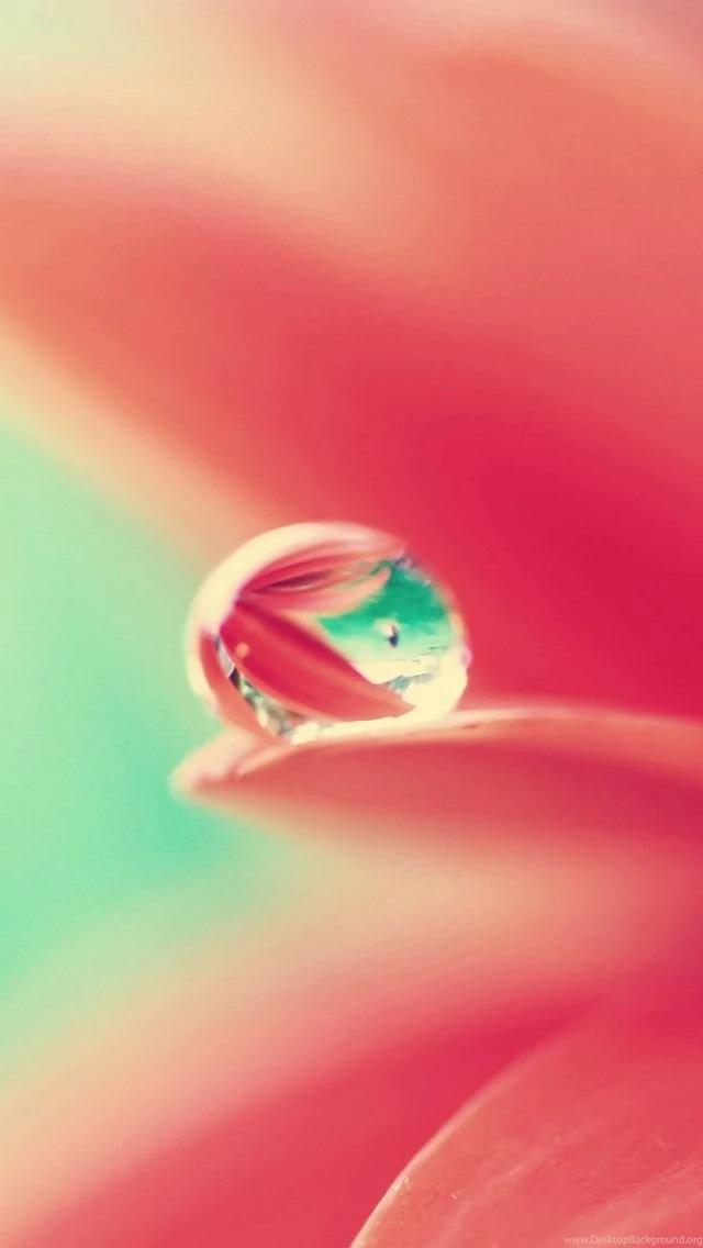 50 High Resolution iPhone 5 Wallpapers