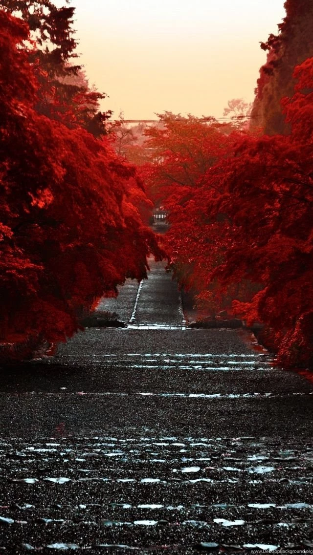 Japan iPhone 5s Wallpapers