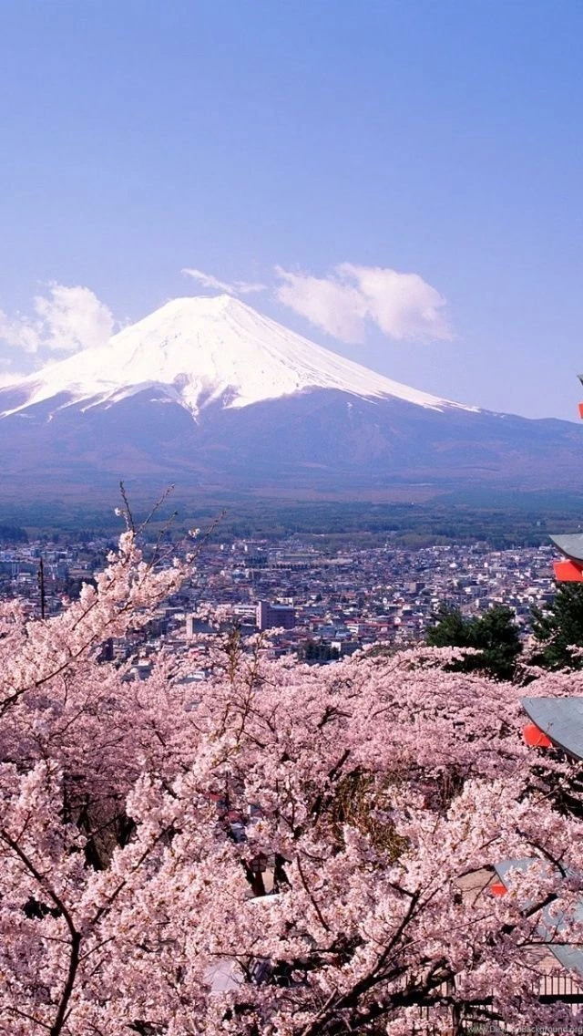 Fuji Japan iPhone 5 Wallpapers