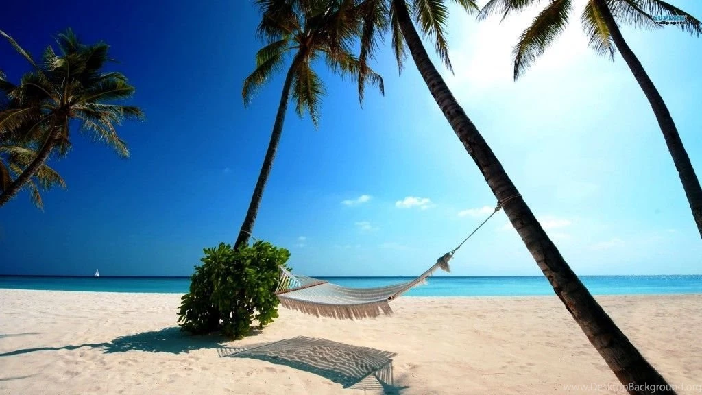 Holiday Backgrounds for Computer Summer Beach 1024×576