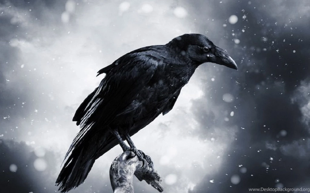 HDscreen: Raven Darkness Black Bird Desktop Bakcgrounds