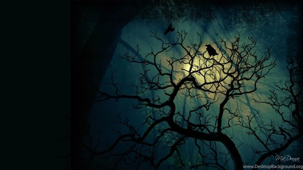 Call Of The Raven HD Desktop Wallpapers : Widescreen : High ...