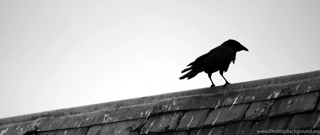2560x1080 21:9 TV Raven Wallpapers HD, Desktop Backgrounds 2560x1080