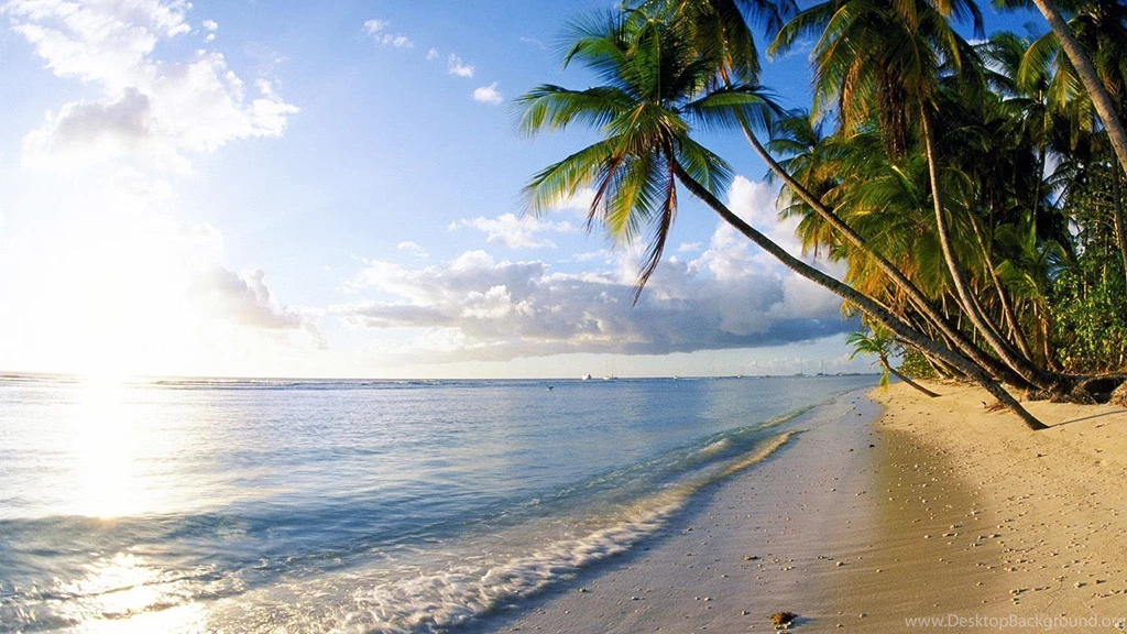 Beach 1080p