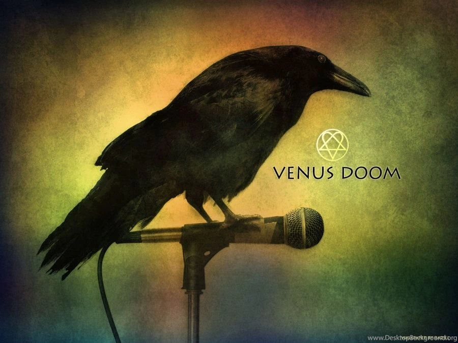 Dark Raven Wallpapers By Praveen3d On DeviantArt