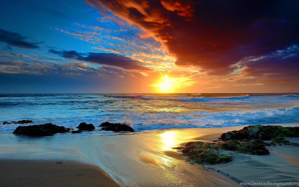 Beach Wallpapers WallpaperLayer.com