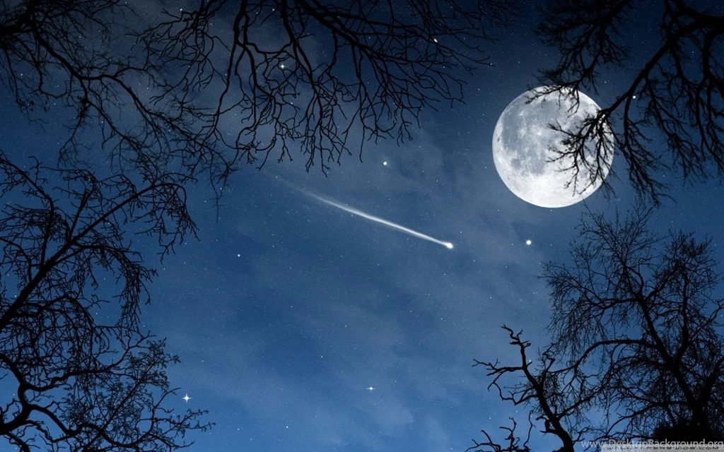 Shooting Star HD Desktop Wallpapers : High Definition : Fullscreen ...