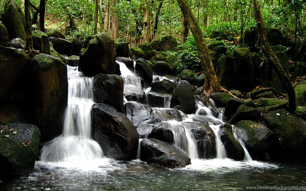 Waterfall Backgrounds Wallpapers 63112