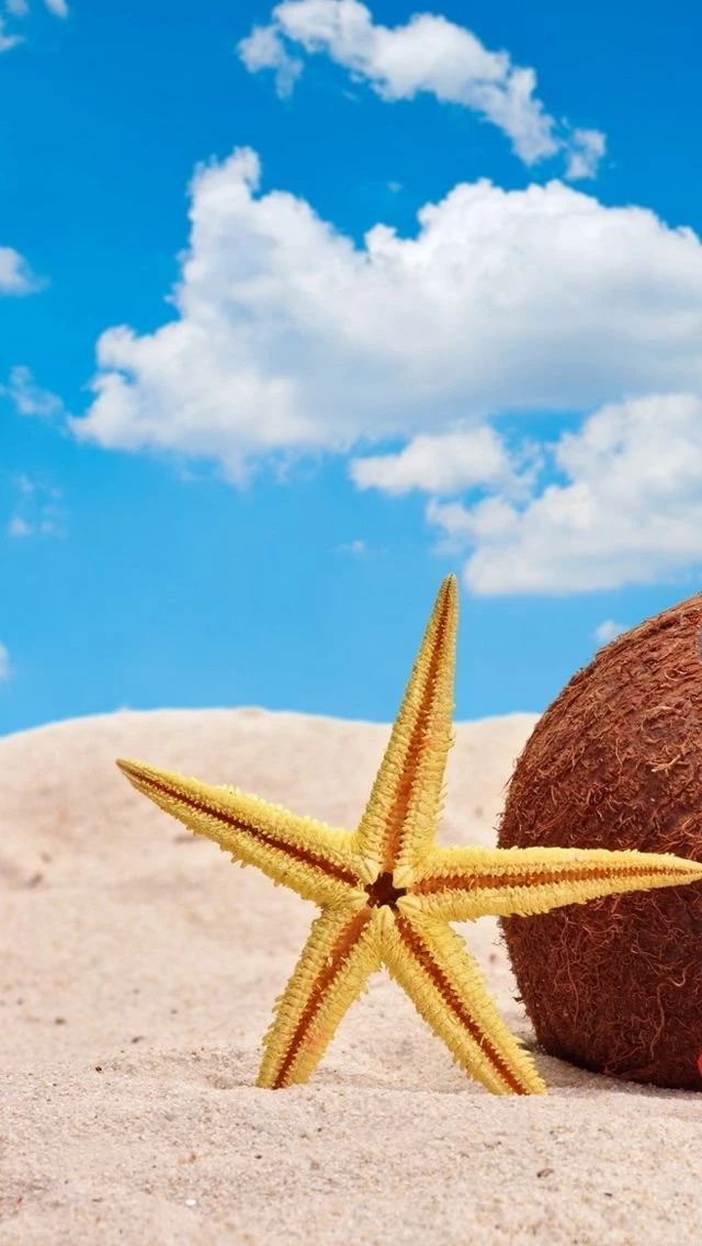 Summer iPhone 5s Wallpapers