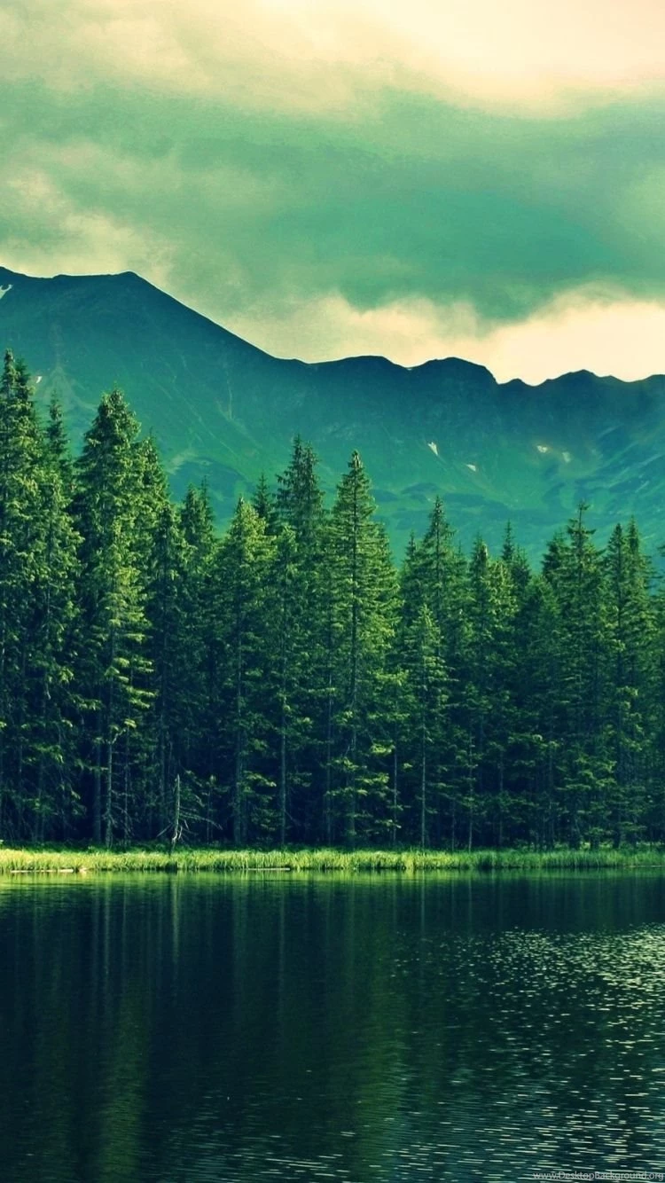 Download Wallpapers 750x1334 Mountains, Summer, Lake, Trees, Forest ...