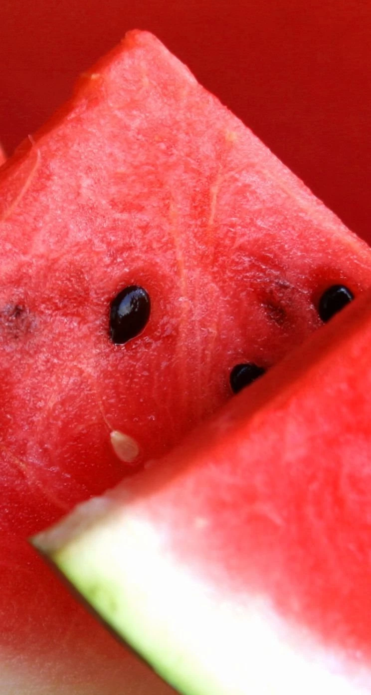 Summer Delicious Watermelon iPhone 5s Wallpapers Download