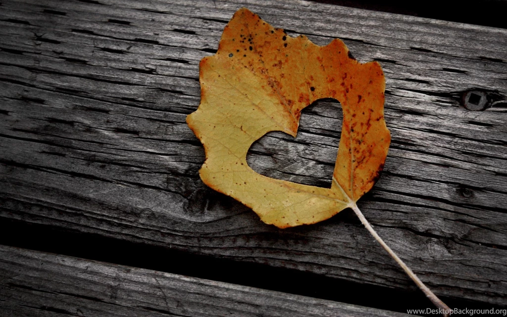 I Love Autumn