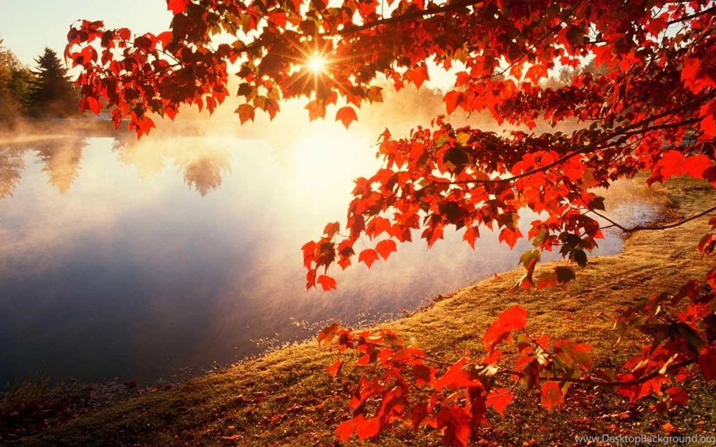 Autumn Wallpapers HD Android Apps And Tests AndroidPIT