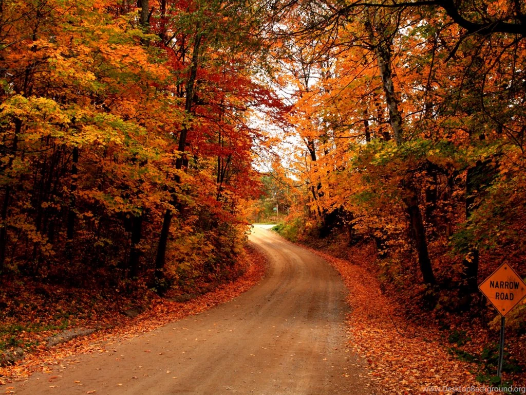 Autumn Country Road Wallpaper.