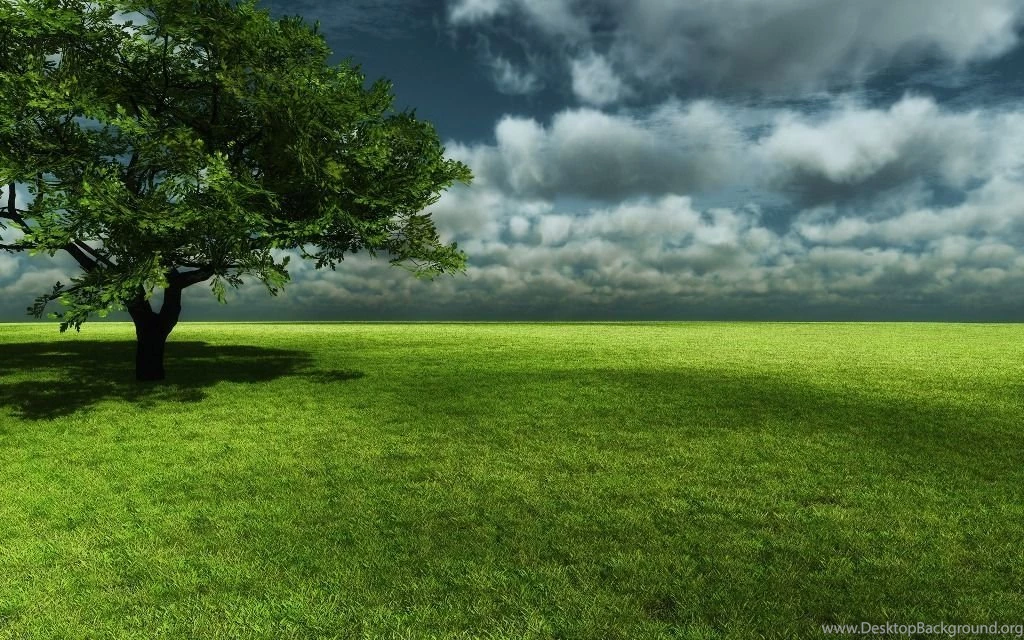 Azure Lagune Nature Backgrounds