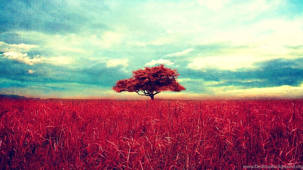 Nature HD Backgrounds Image HD Images New