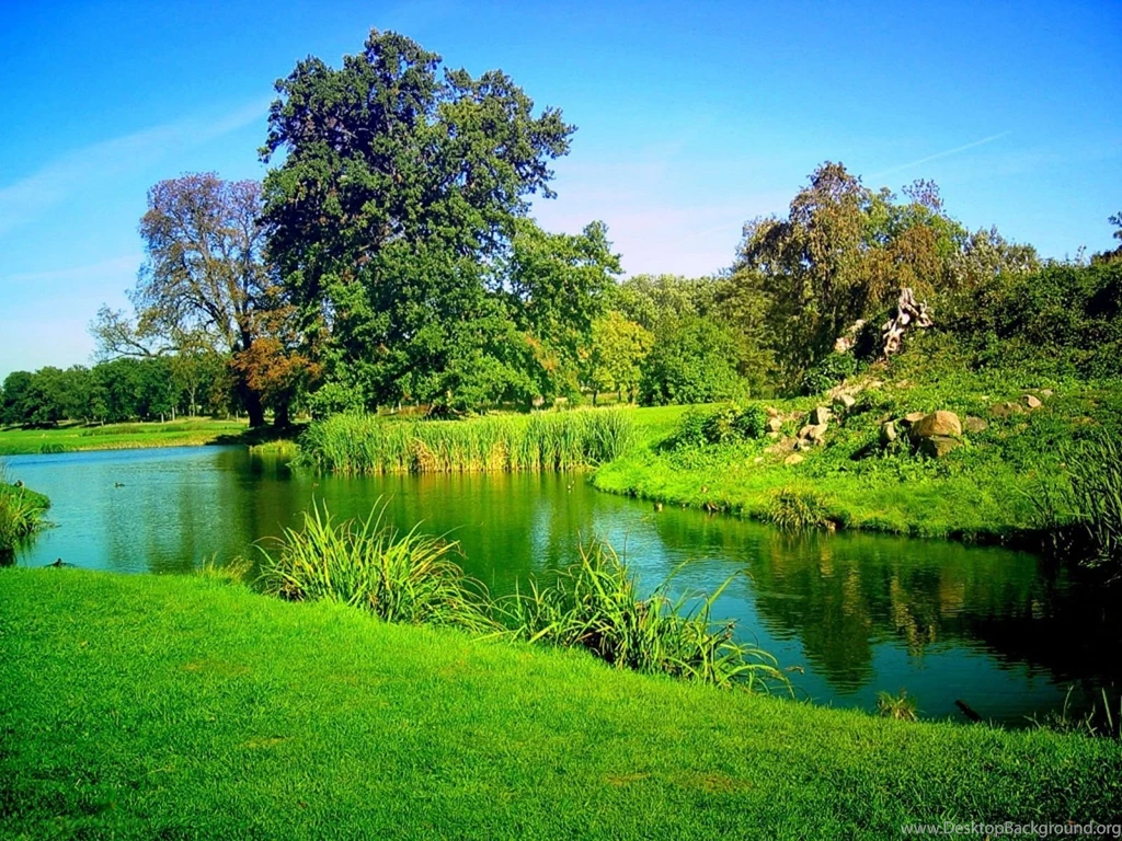 HD Amazing Nature Background Images
