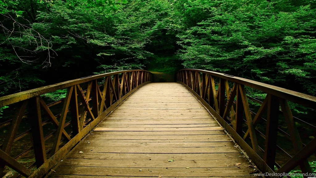 Nature Backgrounds 3086 Backgrounds Cool Full Size Attachment ...