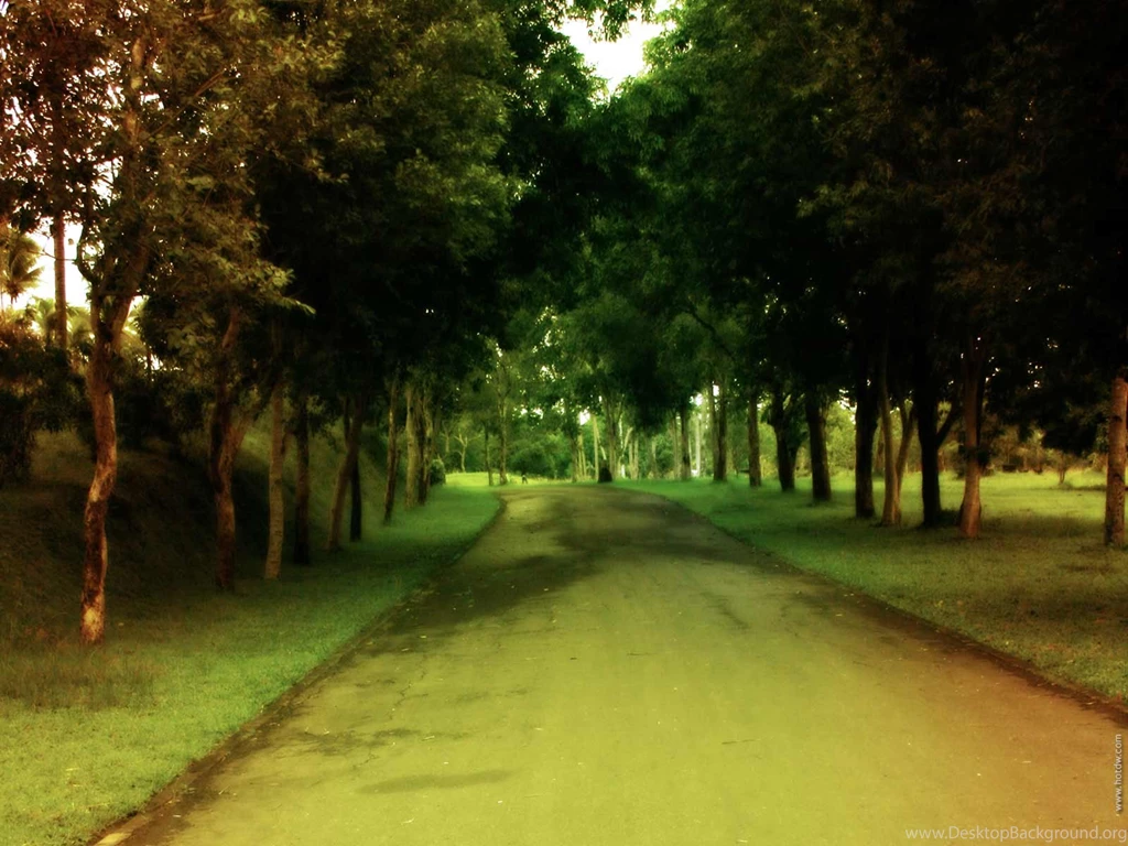 Nature Backgrounds 3388 Backgrounds Amazing Full Size Attachment ...
