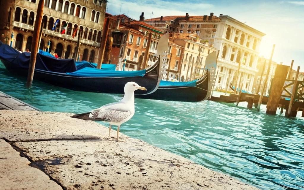 77 Venice HD Wallpapers