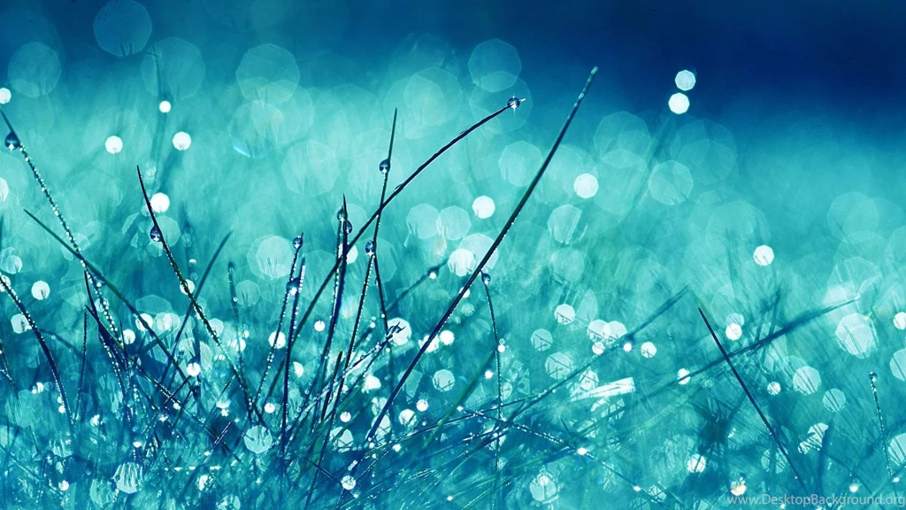 Download Wallpapers 1920x1080 Grass, Glare, Glitter, Light, Bright ...