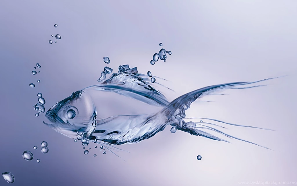 612 Fish HD Wallpapers