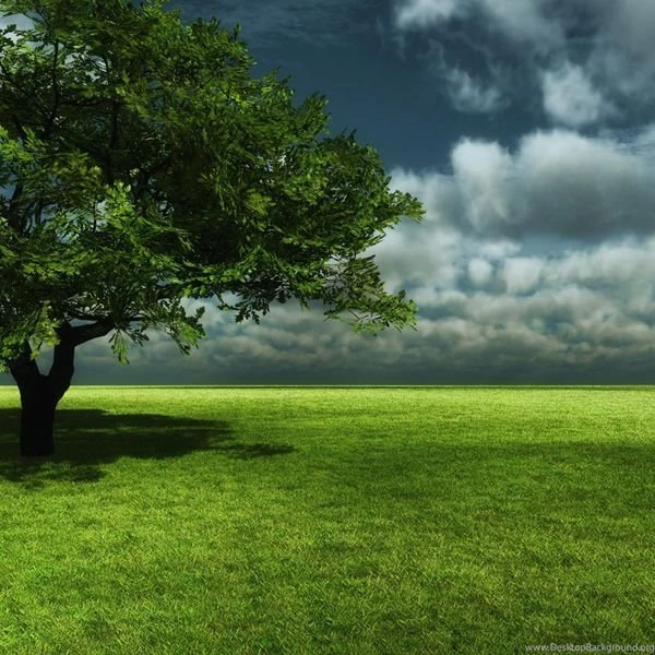 50 Best iPad 2 Wallpapers For Your Apple Device
