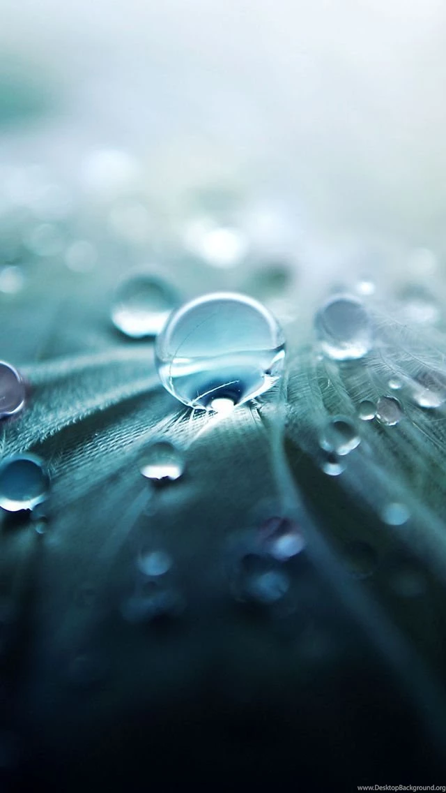 Most Popular iPhone 5s Wallpapers