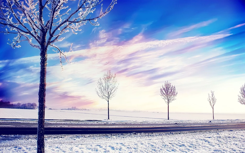 Snow Winter Trees Wallpapers